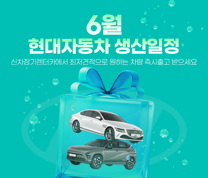 현대자동차 6월 생산일정